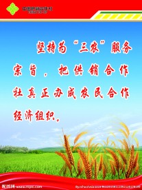 企业文化