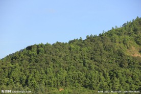 山林