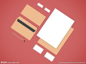 vi分成展示样机