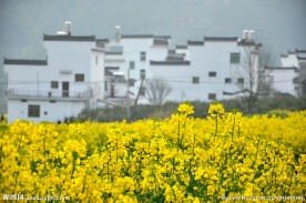 婺源