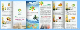 水果三折页