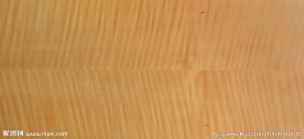 原木木材纹理摄影