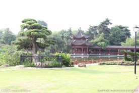 公园风景