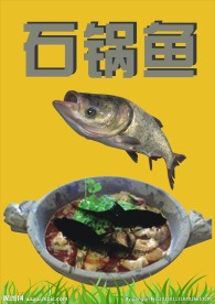 石锅鱼店面宣传广告设计
