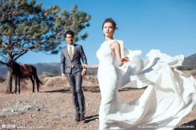 唯美婚纱照