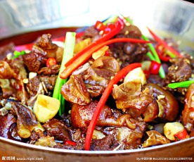 锅仔狗肉