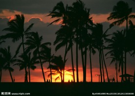 夏威夷夕阳