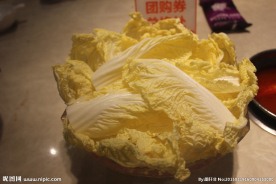 白菜 娃娃菜 火锅