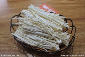 金针菇 火锅