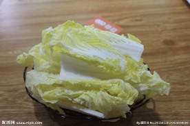 白菜 娃娃菜 火锅