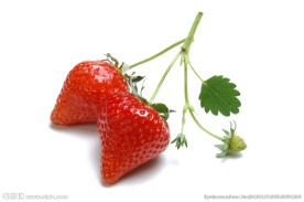 草莓