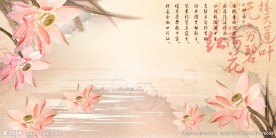 中国风红荷花莲花