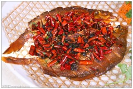 风吹武昌鱼