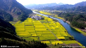 陕西汉中油菜花田