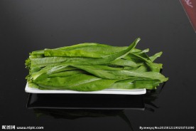 油麦菜