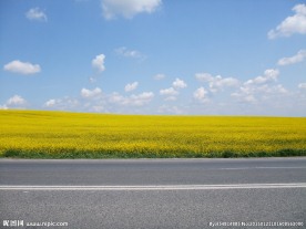 秦皇岛公路