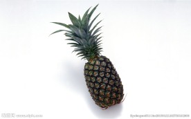 菠萝
