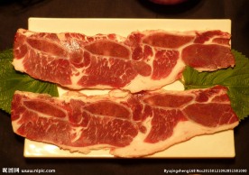 骨肉相连