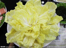 白菜 火锅