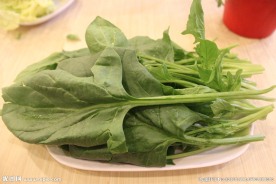 菠菜 火锅
