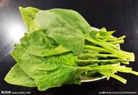 菠菜 火锅