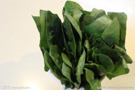 菠菜 火锅