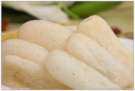 松茸菌