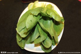 油菜 火锅