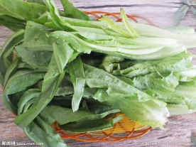 香麦 油麦菜