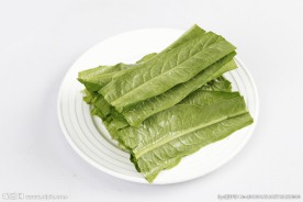 香麦 油麦菜