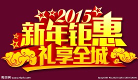 新年钜惠