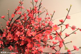 梅花