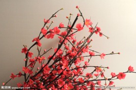 梅花