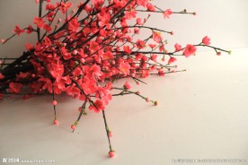 梅花