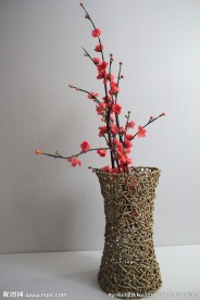 梅花