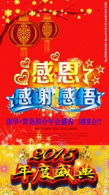 2015年年会背景