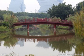 木桥