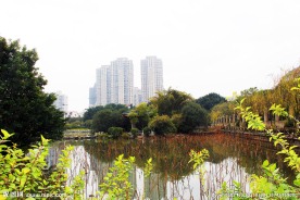 东湖公园 泉州东湖公园