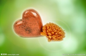 爱情石与鲜花