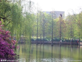 宁静湖面