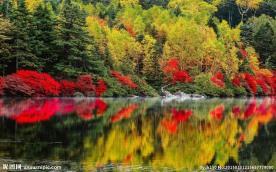 秋天树林湖泊风景