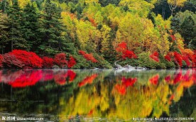 湖泊风景