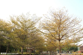 广场