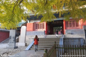 少林寺秋景