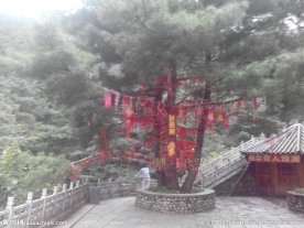 祈福树