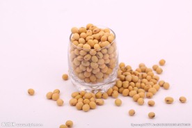 五谷杂粮系列黄豆摄影图