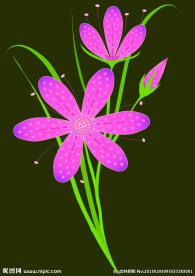 花朵矢量