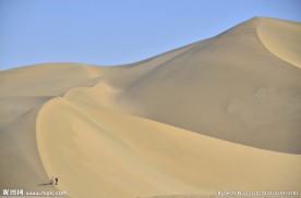 沙漠鸿