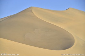 沙漠鸿