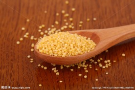 五谷杂粮系列小米黄米摄影图